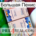 Большая Пенис kamagra1